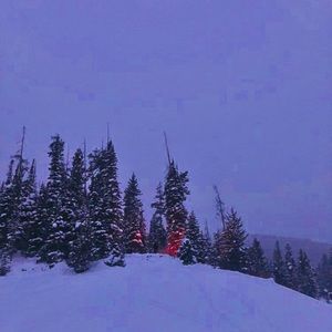 Meet your Posher, Brendan